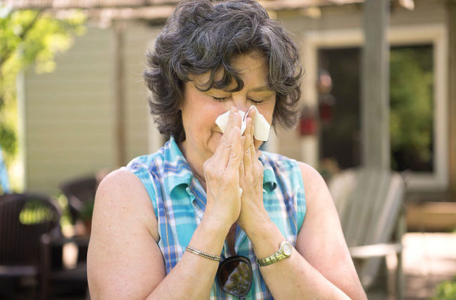 Allergies to Cats