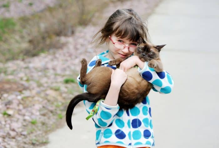 Can children catch worms or other diseases from cats